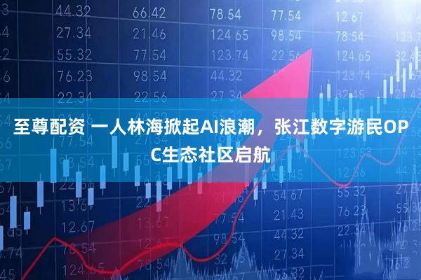 至尊配资 一人林海掀起AI浪潮，张江数字游民OPC生态社区启航